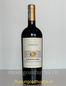Canepa Genovino 